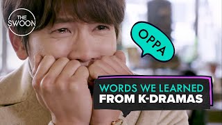 Words we learned from Kdramas ENG SUB [upl. by Oniuqa]