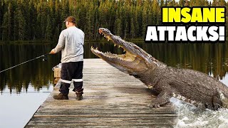 The Most Gruesome Alligator Attacks Ever Recorded [upl. by Ahsier672]