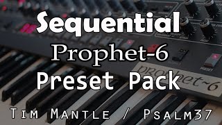 All New DSI Prophet 6  256 new Presets  Sounds  Patches [upl. by Nire]