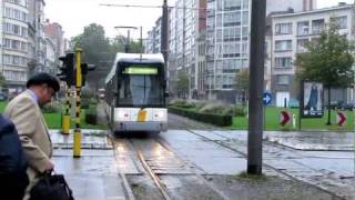 Antwerpen Hermelijn Low Floor Trams [upl. by Aceissej]