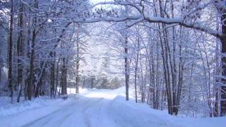 See Amid the Winters Snow — Anthony Way amp The Choir of St Pauls Cathedral [upl. by Tandy]