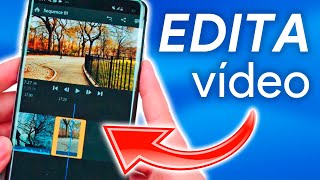 Los MEJORES EDITORES de VÍDEO para iPhone y ANDROID [upl. by Gnort]