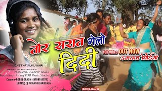 New domkach song 2024 full video singer Fulkumari song तोर सरत गेलो दीदी new nagpuri video [upl. by Hainahpez]