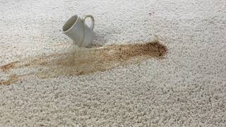 Cleveland Carpet Cleaning Coffee Spill [upl. by Nitnelav]