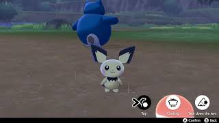 How to Evolve Pichu into Pikachu Quickly in Pokémon Sword and Shield [upl. by Naamann]