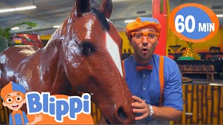 Blippi Explores Jungle Animals  Kids Fun amp Educational Cartoons  Moonbug Play and Learn [upl. by Edd]