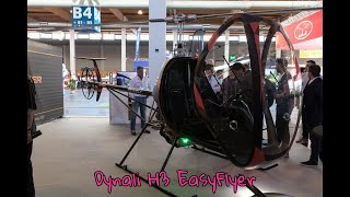 Dynali H3 EasyFlyer Helicopter [upl. by Caldera606]