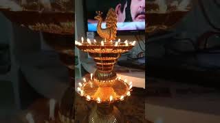 Karthika Deepam 🪔😍😍anushareddy4994 do subscribe [upl. by Ardnoek]