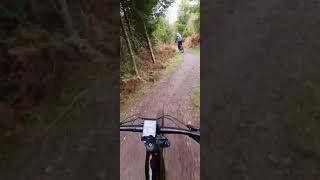 Cannock Chase autumn bike ride [upl. by Mcdonald]