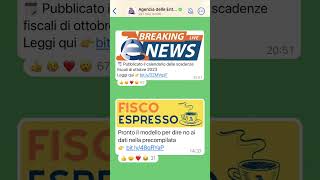 Il Canale Whatsapp dellAgenzia [upl. by Alig]