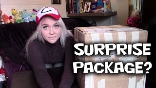 SURPRISE PACKAGE [upl. by Vikki]