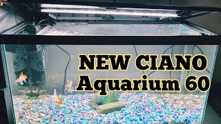 SET UP and STOCKED NEW AQUARIUM 60 LED LIGHTING SYSTEM [upl. by Nylqcaj]