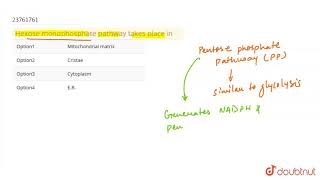 Hexose monophosphate pathway takes place in [upl. by Ettenil]