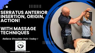 Mastering the Serratus Anterior Insertion Origin and Action for Massage Therapists [upl. by Ellegna728]