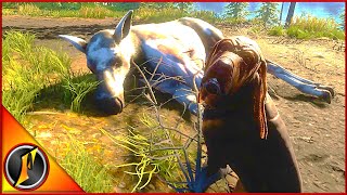 First Hunt with Bloodhounds in Call of the Wild [upl. by Leahcimnhoj]