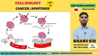 Cancer Apoptosis ll extrinsic pathway apoptosis ll necrosis ll Programmed cell death ll PCD [upl. by Alohcin909]