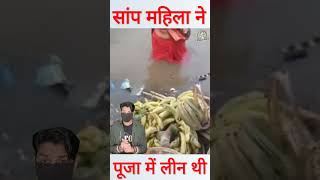 छठ पूजा के दौरान पानी में तैरते हुए आया सांप shorts chhathpuja [upl. by Enomed]