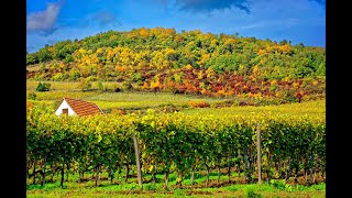 36 Hungary  The Wine Regions of Hungary [upl. by Adnim]