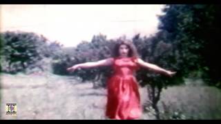 YAARA DILDARA TERI HOGAYI NOOR JEHAN  REEMA amp SHAAN  FILM CHANDI [upl. by Dorothi]