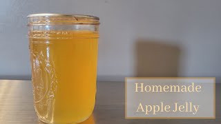 How to Make Homemade Apple Jelly from Apple Juice [upl. by Assyral941]