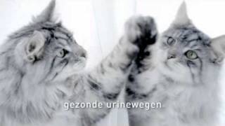 Purina One SterilCat TVC 20secwmv [upl. by Edrock]