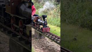 5” Gauge American 440 Miniature Locomotive 🚂 miniaturerailway modelengineering steamtrain [upl. by Varney]