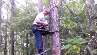 Tree stand safety tip [upl. by Blasius]