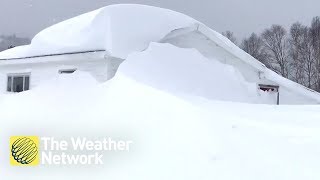 SEE IT Snow swallows Newfoundland homes whole during epic February [upl. by Aikym]