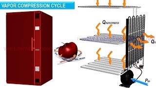 Refrigerator working  The Basics [upl. by Gillespie]