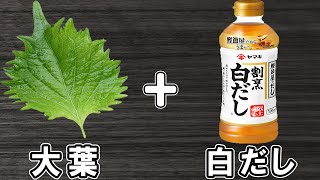 大葉の簡単レシピ！【大葉の簡単浅漬け】白だしで作る簡単漬物でご飯が止まらない！絶品おかずの作り方大葉レシピ漬物レシピ作り置きおかずお弁当おかず【あさごはんチャンネル】 [upl. by Dixon310]