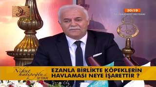 Ezanla Birlikte Köpeklerin Havlaması Neye İşarettir [upl. by Anor]