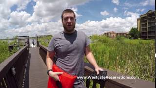 Westgate Resorts Review  Westgate Lakes Resort amp Spa  Orlando FL [upl. by Rafaelof]