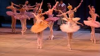 P Tchaikovsky “The Sleeping Beauty” Kirov Ballet 1989 [upl. by Esereht]