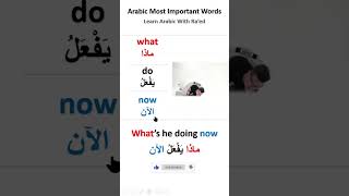 Learn Arabic important words and sentences for beginners adults speak Arabic learnarabic arabic [upl. by Eslek]