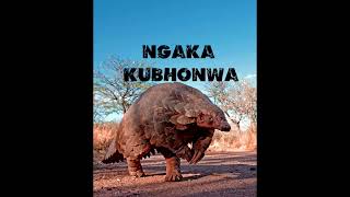 Ngaka kubhonwa ft kisima song nke wane [upl. by Lawley]