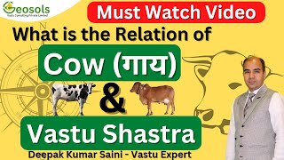 Cow गाय and Vastu Shastra  Geosols  Deepak Kumar Saini [upl. by Namra]