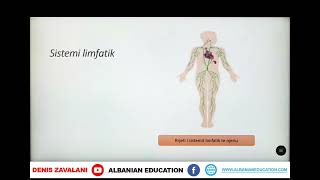 7 06 020 Java e dhjetë Biologji përbërja e gjakut dhe funksioni [upl. by Enirok]