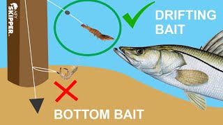 The Secret to Catching BIG Fish at the Pier Simple Pier Fishing Tip [upl. by Meit]