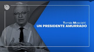 Comentario de Tomás Mosciatti Un presidente amurrado [upl. by Amhser]