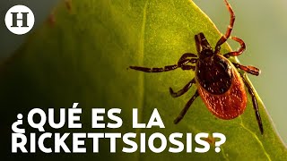 ¿Cuáles son los síntomas de la rickettsiosis Enfermedad por ha matado a 16 personas en Coahuila [upl. by Rollins]