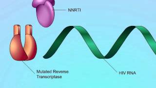 HIV Mechanisms of NNRTI Resistance [upl. by Yeniffit]