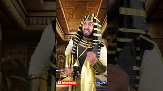 Wait for their Pharaoh  funny fallguys comedy memes adamrose animalfunny [upl. by Alesi644]