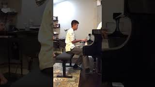 Liszt Totentanz Practice Extract 111124 [upl. by Zebadiah886]