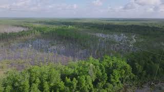 Aerial view of Louisianas lush swamplands with dense green trees and marshlands under a partly [upl. by Cain806]