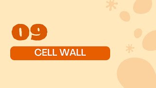 STPM BIOLOGY SEM 1 CHAPTER 2  ORGANELLES  PLANT CELL WALL  STRUCTURE amp FUNCTION  PLANT CELL [upl. by Eerehc962]