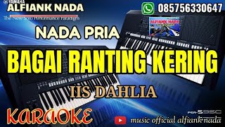 BAGAI RANTING KERING KARAOKE NADA PRIA [upl. by Yatnahs]