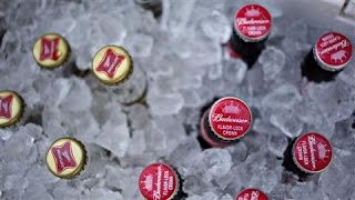 AB InBev and SABMiller Deal What We Have Learned [upl. by Sonitnatsok]