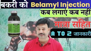 बकरी को Belamyl Inj कब लगाएं कब नहीं Belamyl Injection Goat Goat Care [upl. by Heimlich454]