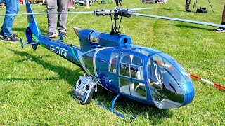 STUNNING  HUGE RC SA341 GAZELLE SCALE MODEL TURBINE HELICOPTER  FLIGHT DEMONSTRATION [upl. by Hagar]