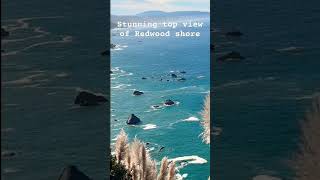 Stunning top view of Redwood shore shorts nature trending [upl. by Zebada]